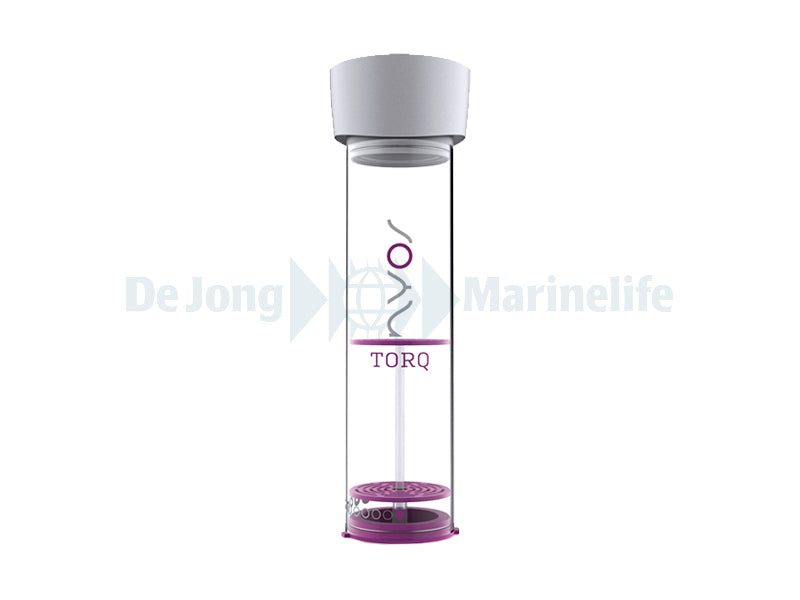 Torq Body 2.0 G2