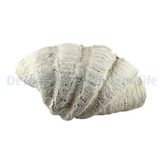 Tridacna-Clam XL 75 x 40 x 22 cm