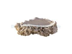 Shell-Holder M