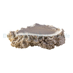 Shell-Holder M