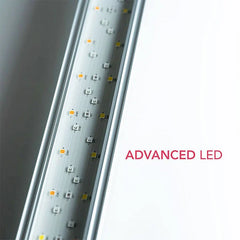 Twinstar 100 G+