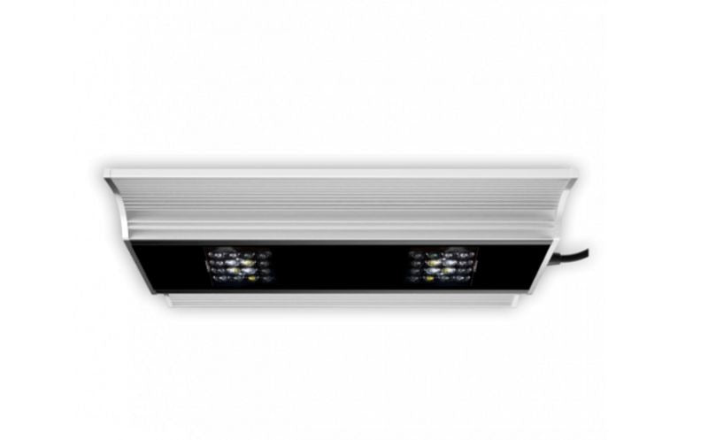 VERVVE pro tropic - 160 Watt - White