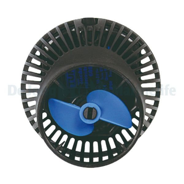 Wavebox pump