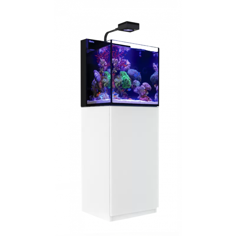 MAX Nano Cube G2