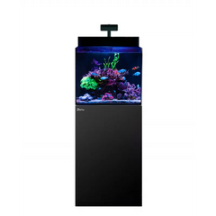 MAX Nano XL G2