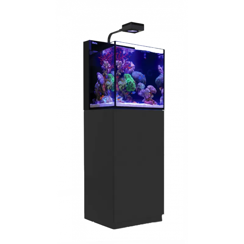 MAX Nano Cube G2