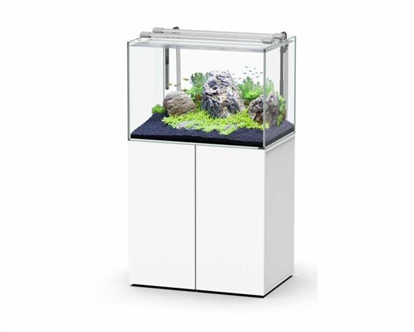 AQUATLANTIS AQUA SCAPE SET 80X55 CM