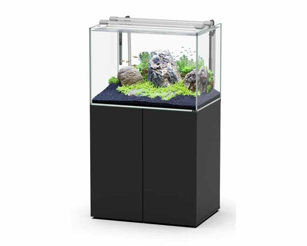 Aquatlantis Aqua Scape Set 80x55 cm
