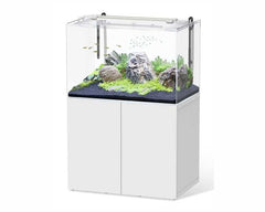 AQUATLANTIS AQUA SCAPE SET 100X64 CM