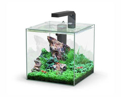AQUATLANTIS AQUARIUM KUBUS 10 L 22X22.6X22 CM INCL. LED