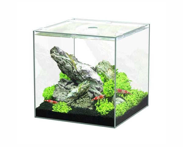 AQUATLANTIS AQUARIUM VOLGLAS KUBUS 15 L 25.5X26.1X25.5 CM