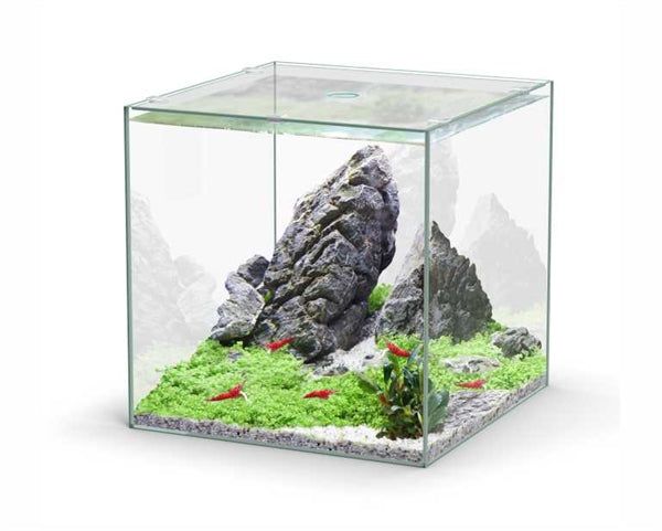 AQUATLANTIS AQUARIUM VOLGLAS KUBUS 33 L 33X34X33 CM