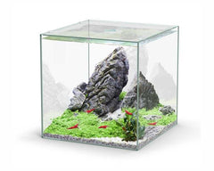 AQUATLANTIS AQUARIUM VOLGLAS KUBUS 33 L 33X34X33 CM