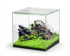 AQUATLANTIS AQUARIUM VOLGLAS KUBUS 54 L 38.8X38.8X38.8 CM