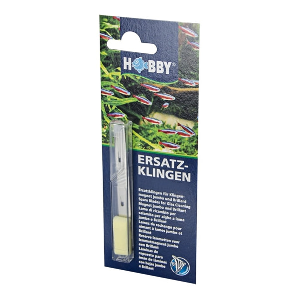HOBBY MESJES VOOR ALGENMAGNEET 6 ST.-BLISTER