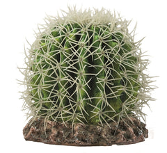HOBBY TERRANO CACTUS SONORA M 15X15X13 CM