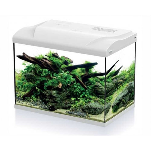 HS Aqua Platy 50 LED