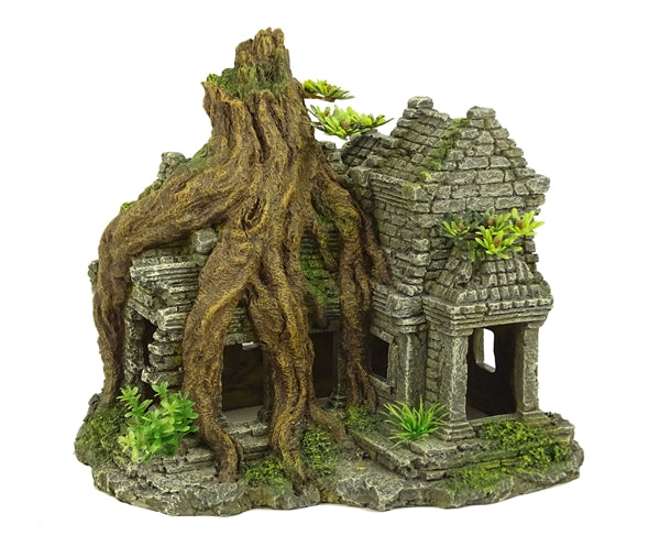 BLUE BELLE PACIFIC ANKOR WAT TREE HOUSE