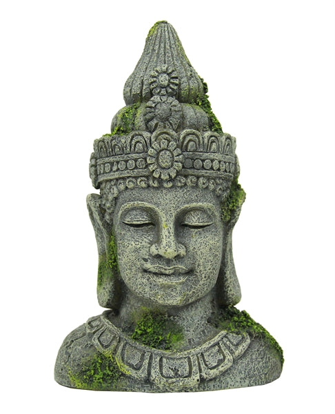 BLUE BELLE PACIFIC BUDDHA 13,5 CM