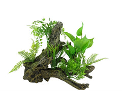 BLUE BELLE PACIFIC AQUASCAPE 4