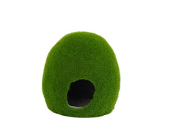 BLUE BELLE PACIFIC MOSSY HOLE M