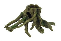 BLUE BELLE PACIFIC TRUNK MANGRO 4