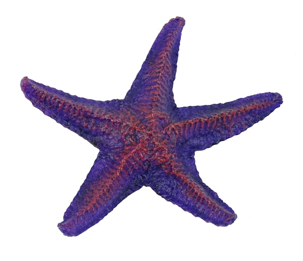 BLUE BELLE PACIFICSTAR FISH COLOR PINK 12 CM