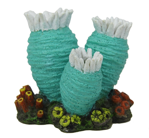 Blue Belle Pacific Coral Disco 1 Peppermint