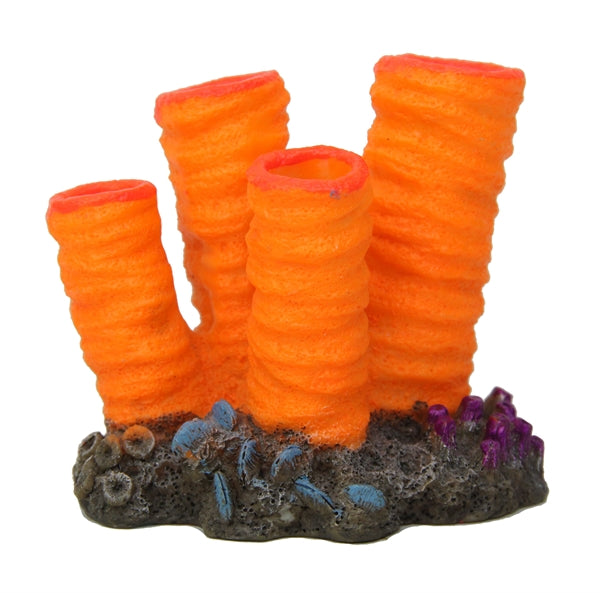 Blue Belle Pacific Coral Disco 2 Orange