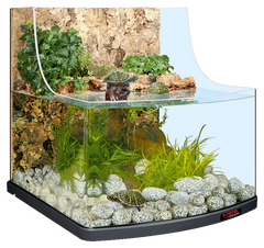 sera reptil aqua biotop