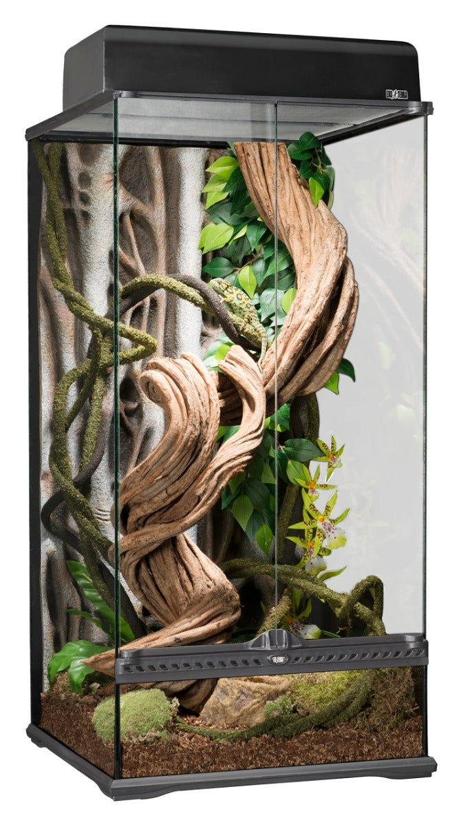 Exo Terra Rainforest Terrarium 45x45x90
