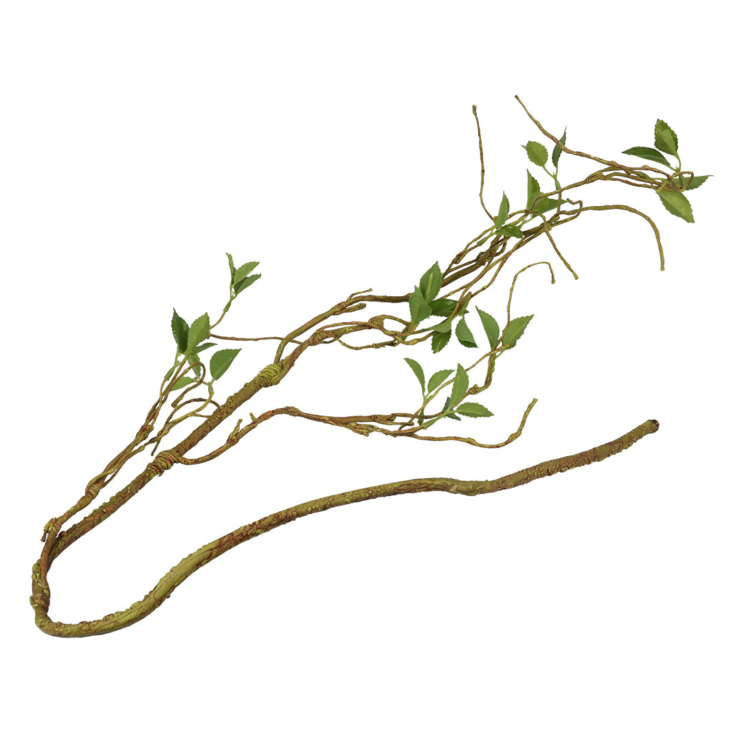 Terra Della Plantentak dun Groen 130cm