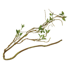 Terra Della Plantentak dik Groen 110cm