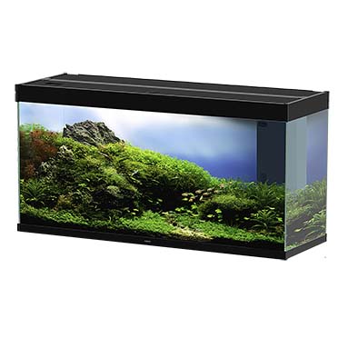 Ciano Emotions Nature Pro 120 New