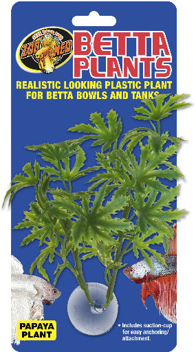 ZM BP21 Betta Plant Papaya
