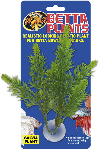 ZM BP-23E Betta Plant Salvia