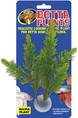 ZM BP-23E BETTA PLANT SALVIA