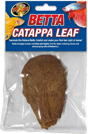 Zoomed Betta Catappa Leaf