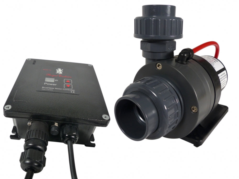 Royal exclusive RD3 Speedy pressure 230w-19m3