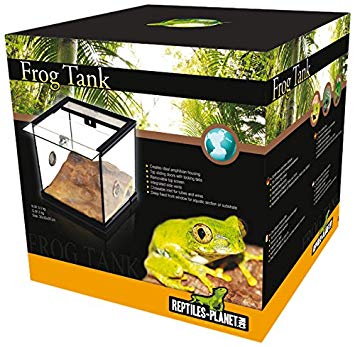 Frog Tank 30x30x30 cm