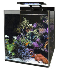 Blue Marine Reef 60