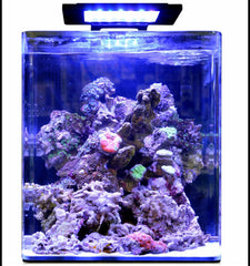 Blue Marine Reef 60