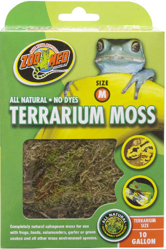 Zoomed terrarium moss