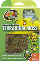 Zoomed terrarium moss