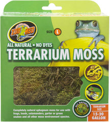 Zoomed terrarium moss