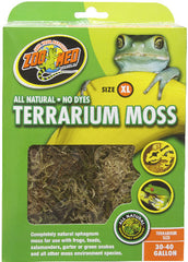 Zoomed terrarium moss