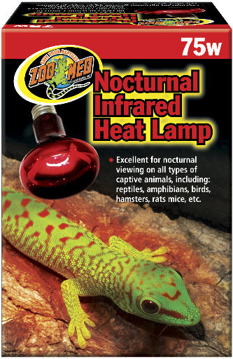 Zoomed nocturnal heating lamp