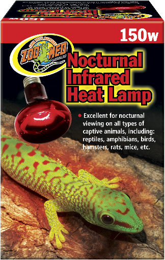 Zoomed nocturnal heating lamp