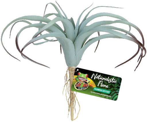 BU-64E TILLANDSIA AIR PLANT 29CM