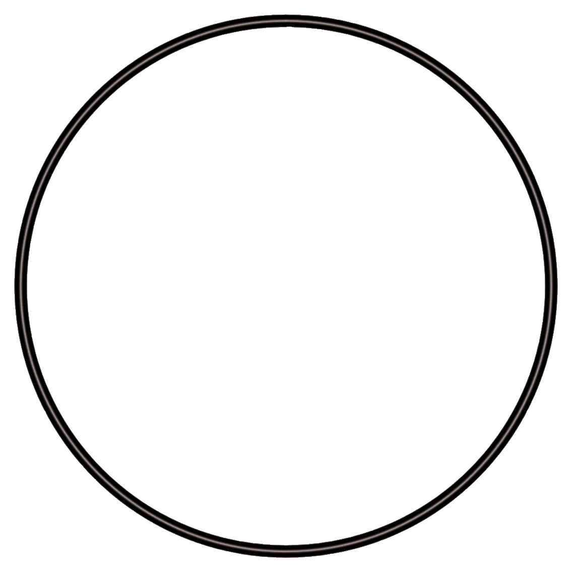 sera O-afdichtingsring voor sera UV-C-systeem 5 W 79mm
